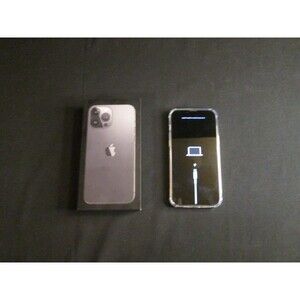 Iphone 13 Pro Max With Case